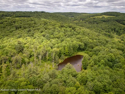 $765,000 | 1260 West Peakes Brook Road, Delhi, NY 13753