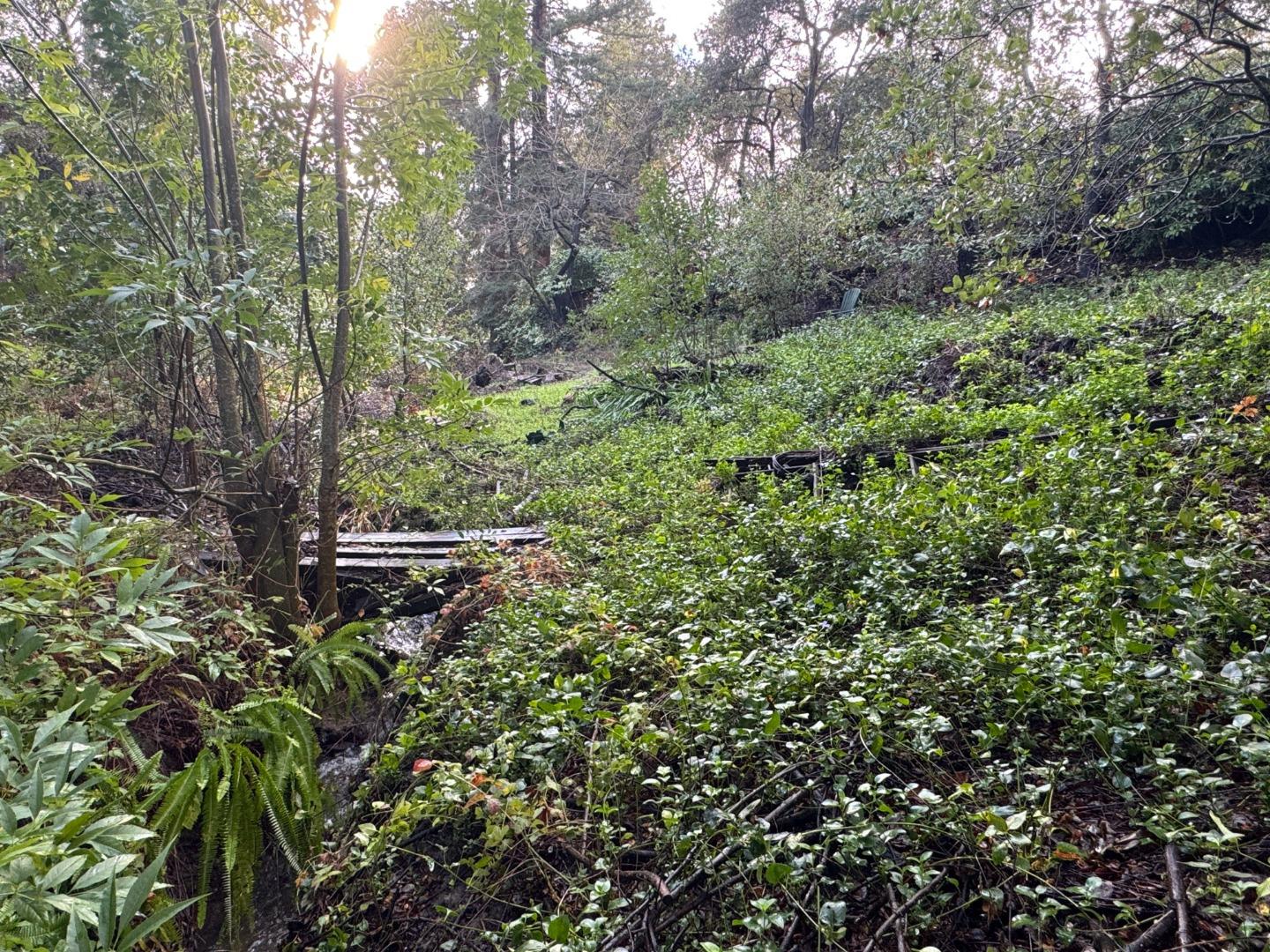 15050 Oriole Road Saratoga, CA 95070 - Photo 9 of 10