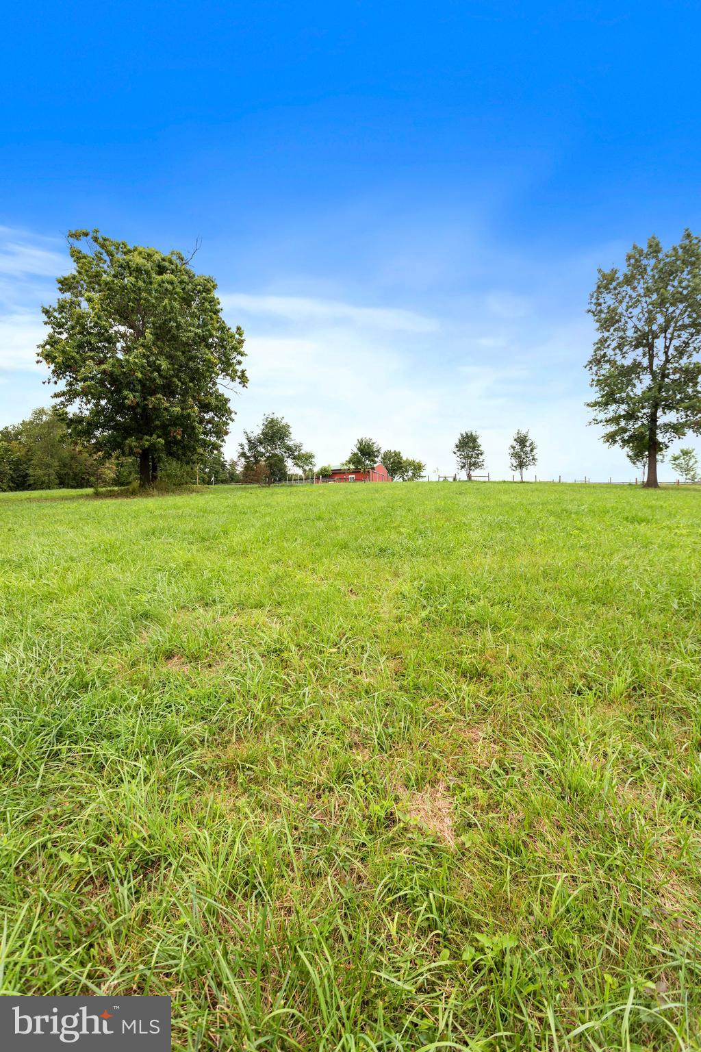 Brucetown Road Clear Brook, VA 22624 - Photo 19 of 28