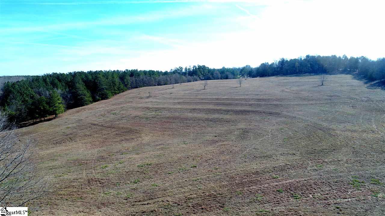 6091 Parris Bridge Road Chesnee, SC 29323 - Photo 27 of 36