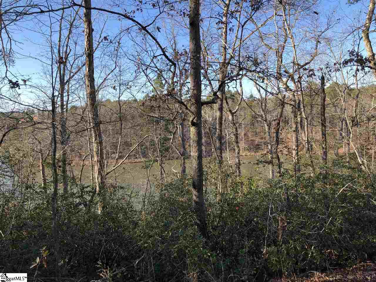 6091 Parris Bridge Road Chesnee, SC 29323 - Photo 28 of 36