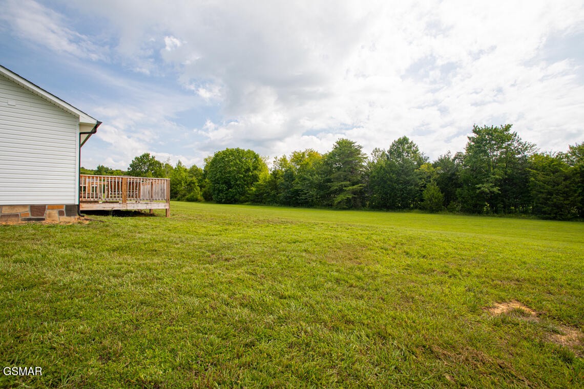 322 Harrison Ferry Road White Pine, TN 37890 - Photo 10 of 39