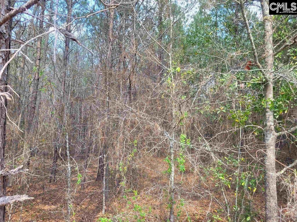239 House Road Eastover, SC 29044 - Photo 3 of 10