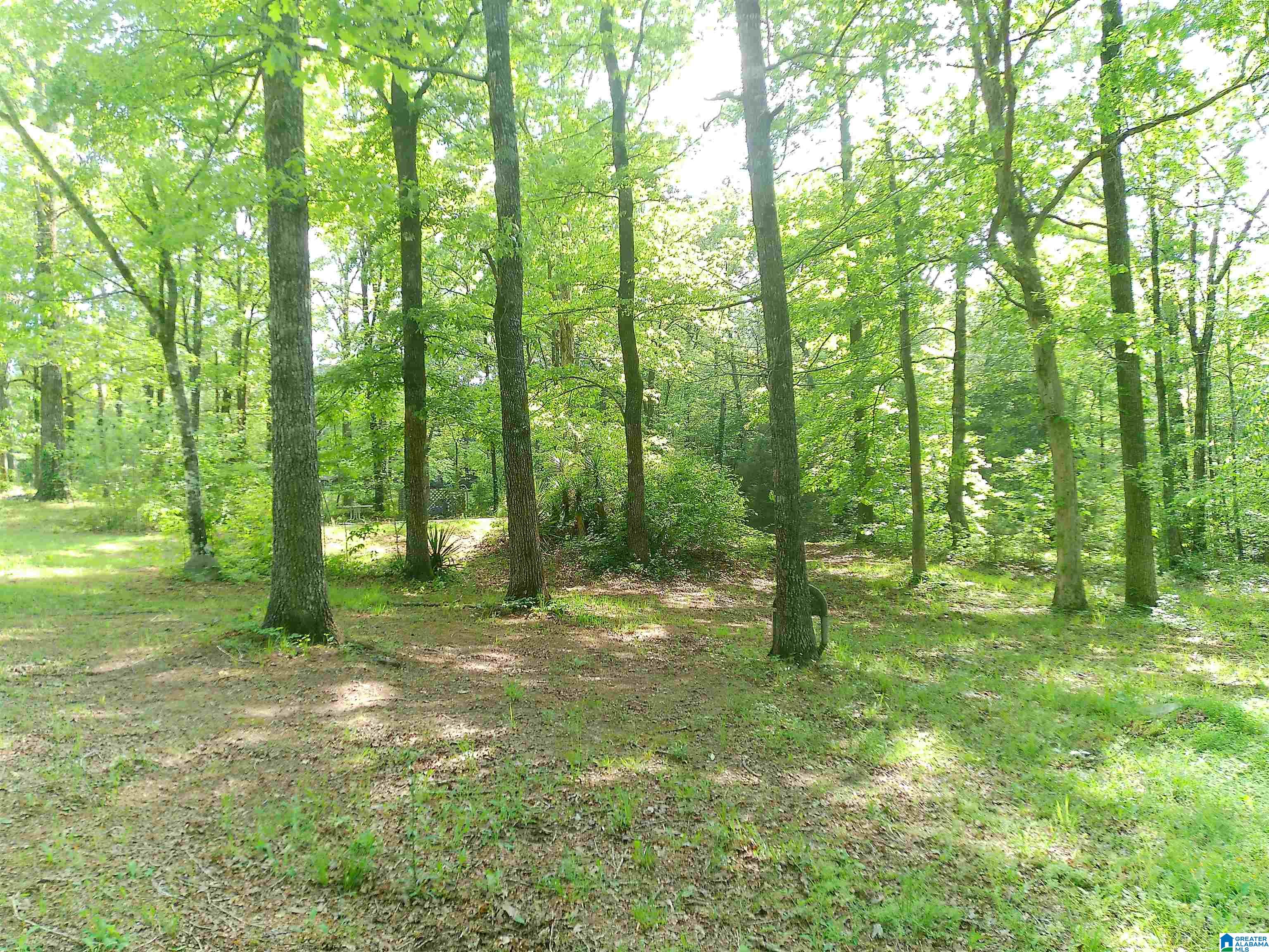 12156 Davis Creek Road McCalla, AL 35111 - Photo 34 of 38