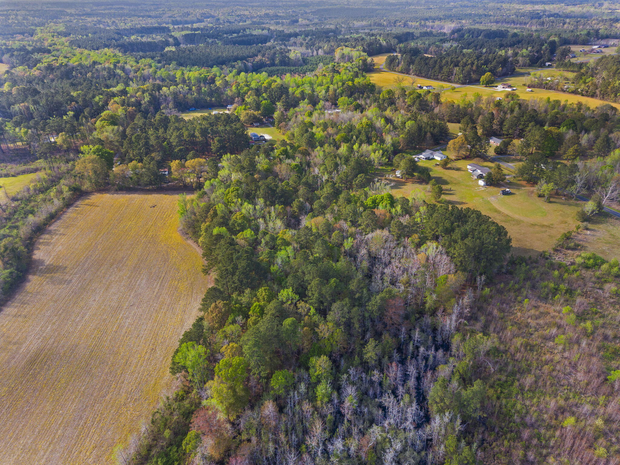 0 Mt Zion Road St. George, SC 29477 - Photo 13 of 14