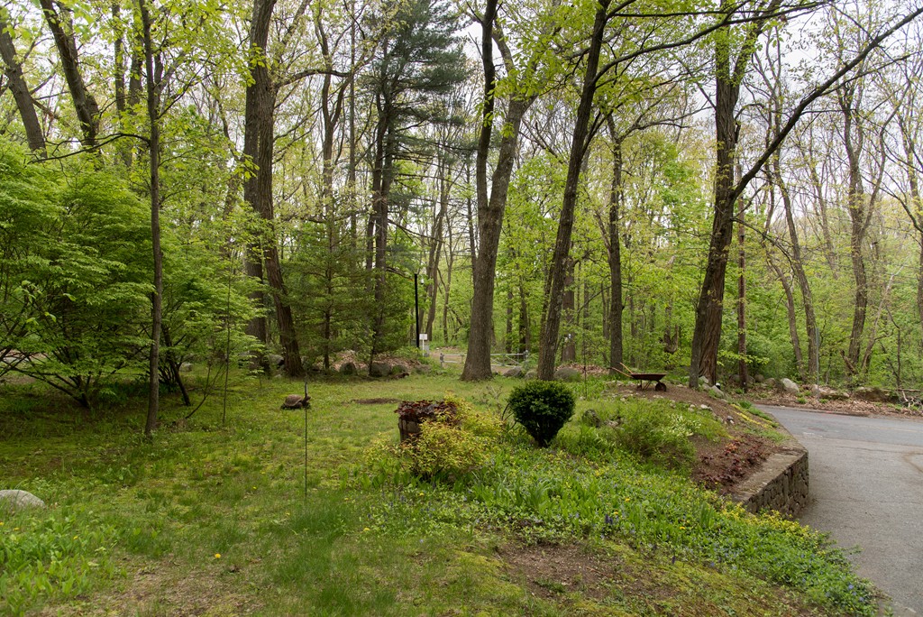 159 Shade Street Lexington, MA 02421 - Photo 30 of 30