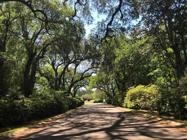 655 Fair Spring Drive Charleston, SC 29414 - Photo 21 of 24 Schieveling Plantation Entry