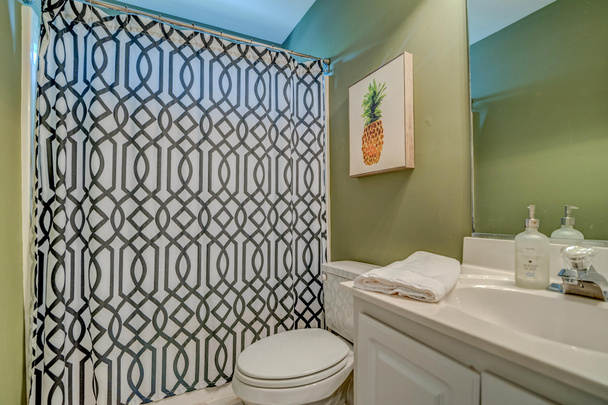 655 Fair Spring Drive Charleston, SC 29414 - Photo 22 of 24 Full Hall Bathroom