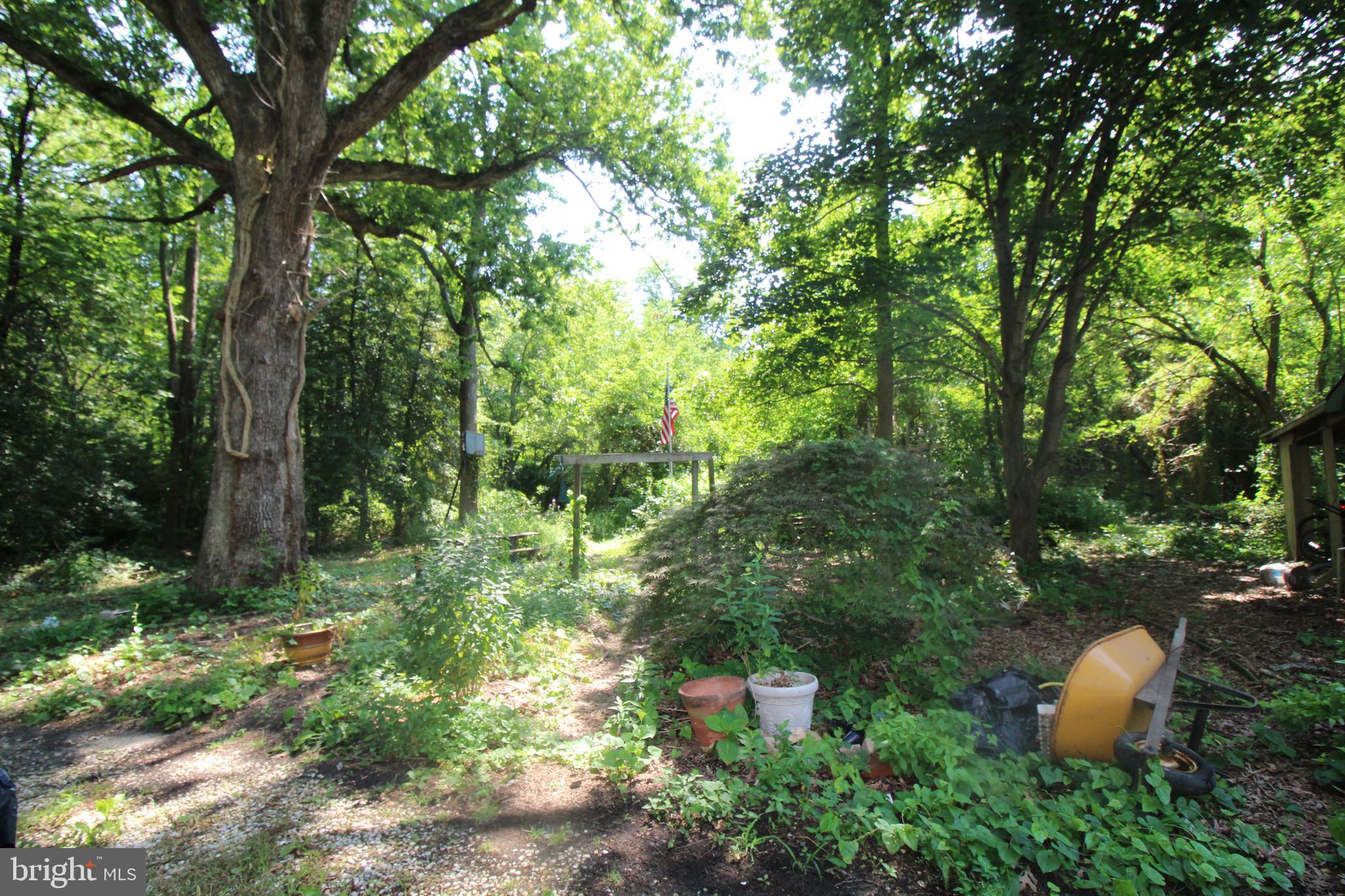 261 Highway 54 Buena, NJ 08310 - Photo 13 of 15 rear view