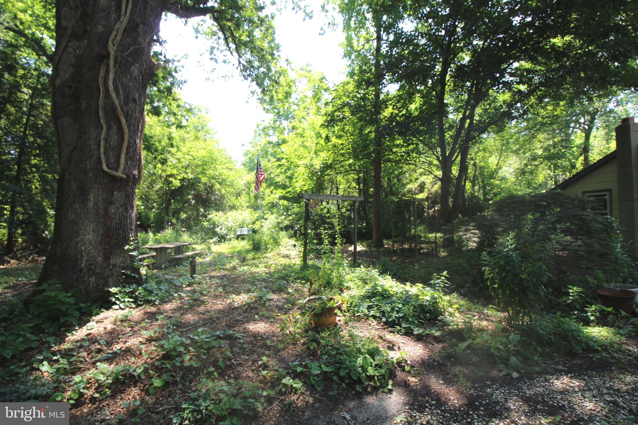 261 Highway 54 Buena, NJ 08310 - Photo 14 of 15 Gallery Image 14