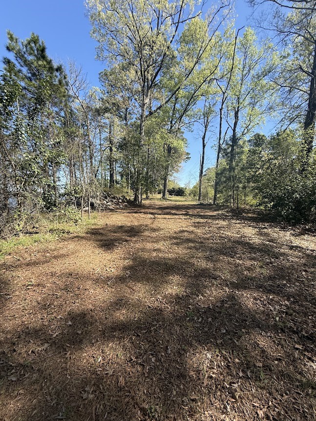 4001 East Carters Ferry Road Milam, TX 75959 - Photo 17 of 22 a view of dirt yard with large trees