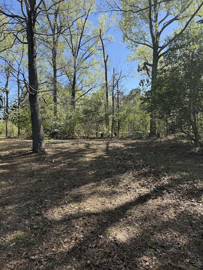 4001 East Carters Ferry Road Milam, TX 75959 - Photo 18 of 22 a view of a yard with a tree