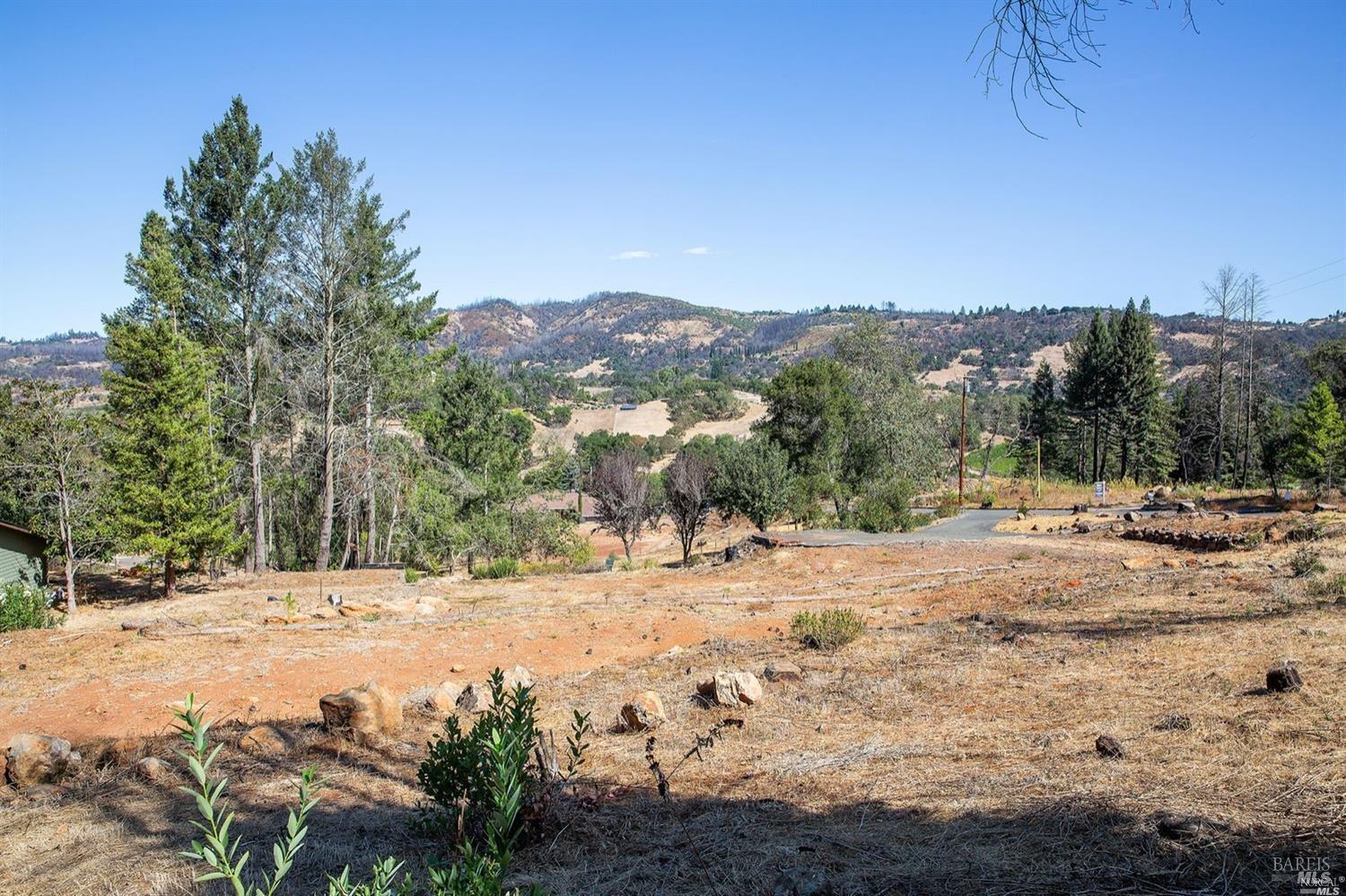 4945 Pinecroft Way Santa Rosa, CA 95404 - Photo 5 of 9 a view of a yard with a tree