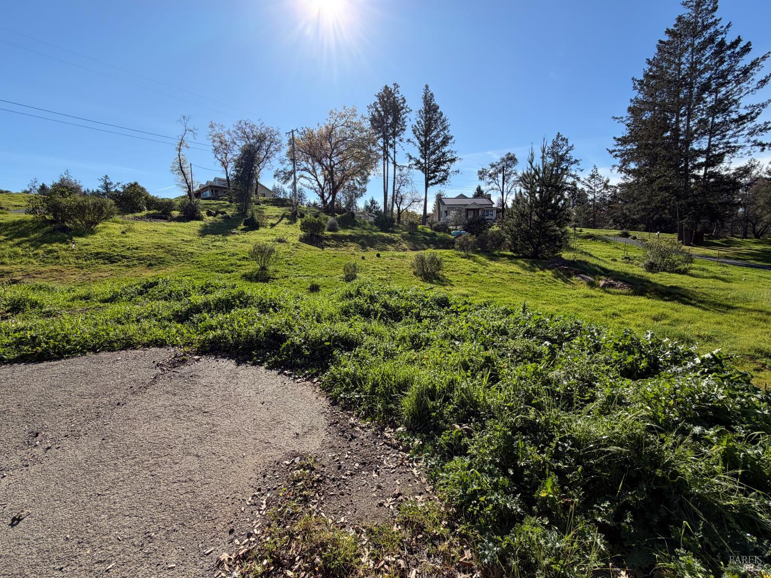 4945 Pinecroft Way Santa Rosa, CA 95404 - Photo 7 of 9 a big yard with lots of green space and trees