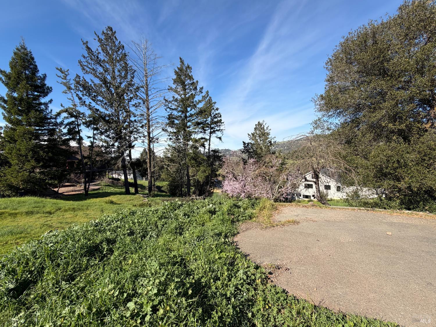 4945 Pinecroft Way Santa Rosa, CA 95404 - Photo 8 of 9 a view of a yard with a tree