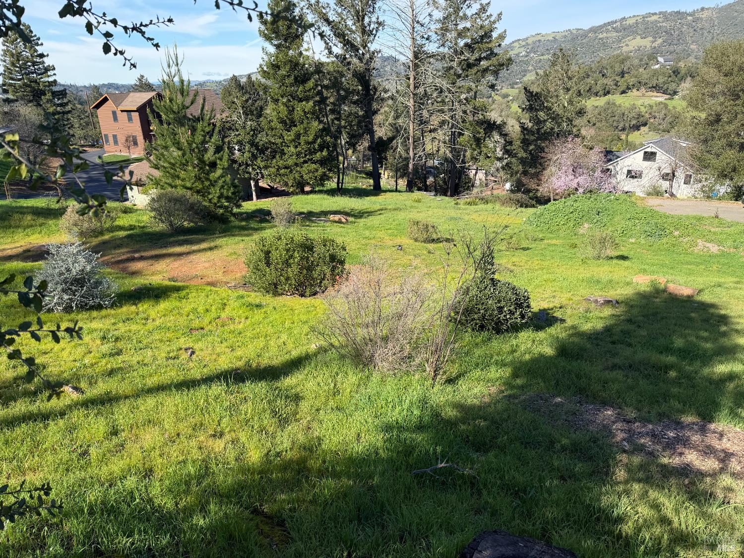 4945 Pinecroft Way Santa Rosa, CA 95404 - Photo 9 of 9 a view of a garden with an outdoor space