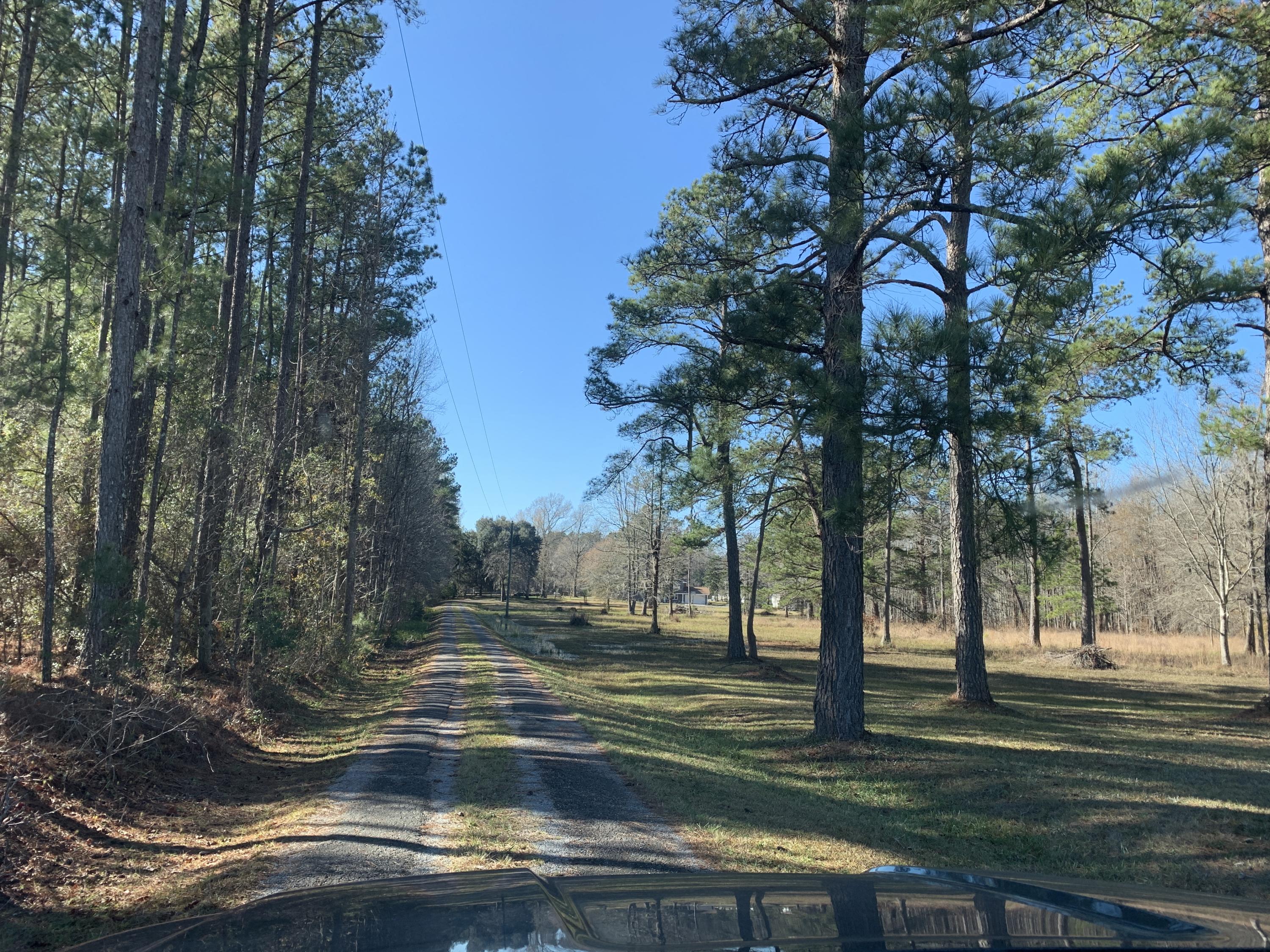 669 Calestown Road Bonneau, SC 29431 - Photo 2 of 38 File_000(2)