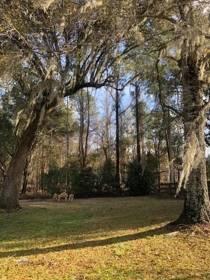 669 Calestown Road Bonneau, SC 29431 - Photo 3 of 38 File_001