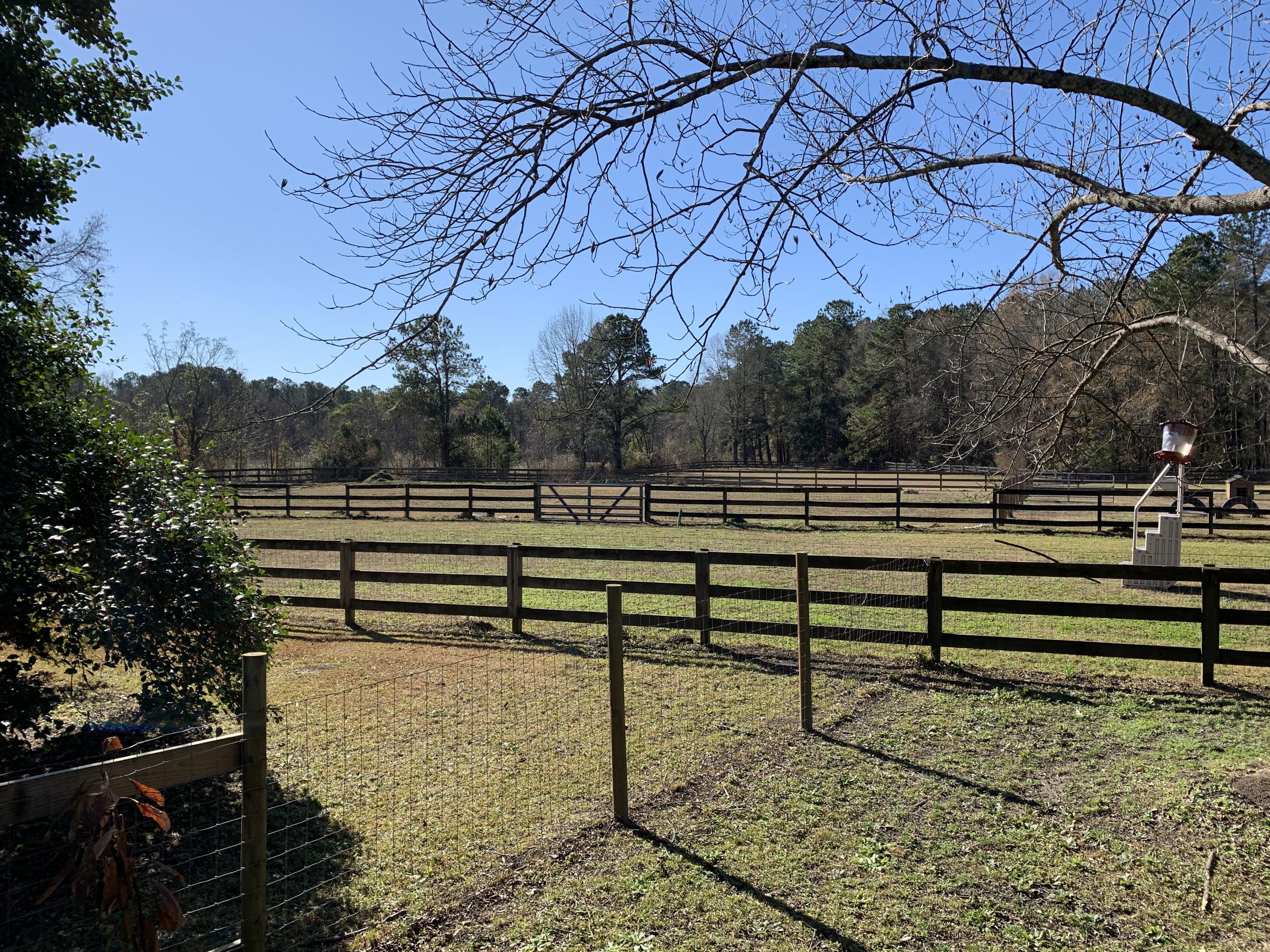 669 Calestown Road Bonneau, SC 29431 - Photo 28 of 38 File_023