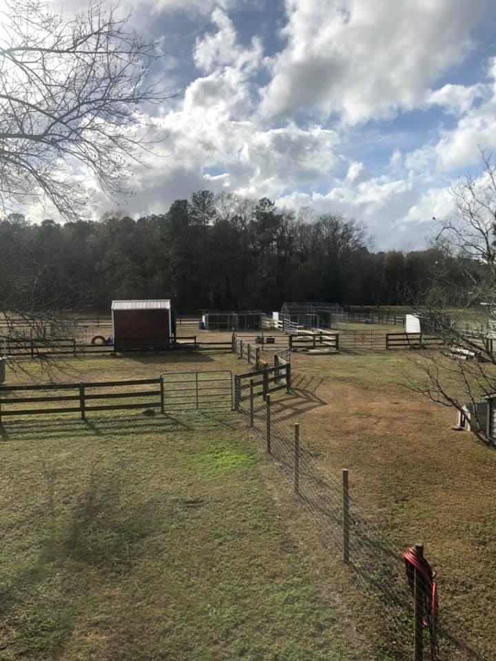 669 Calestown Road Bonneau, SC 29431 - Photo 4 of 38 File_002