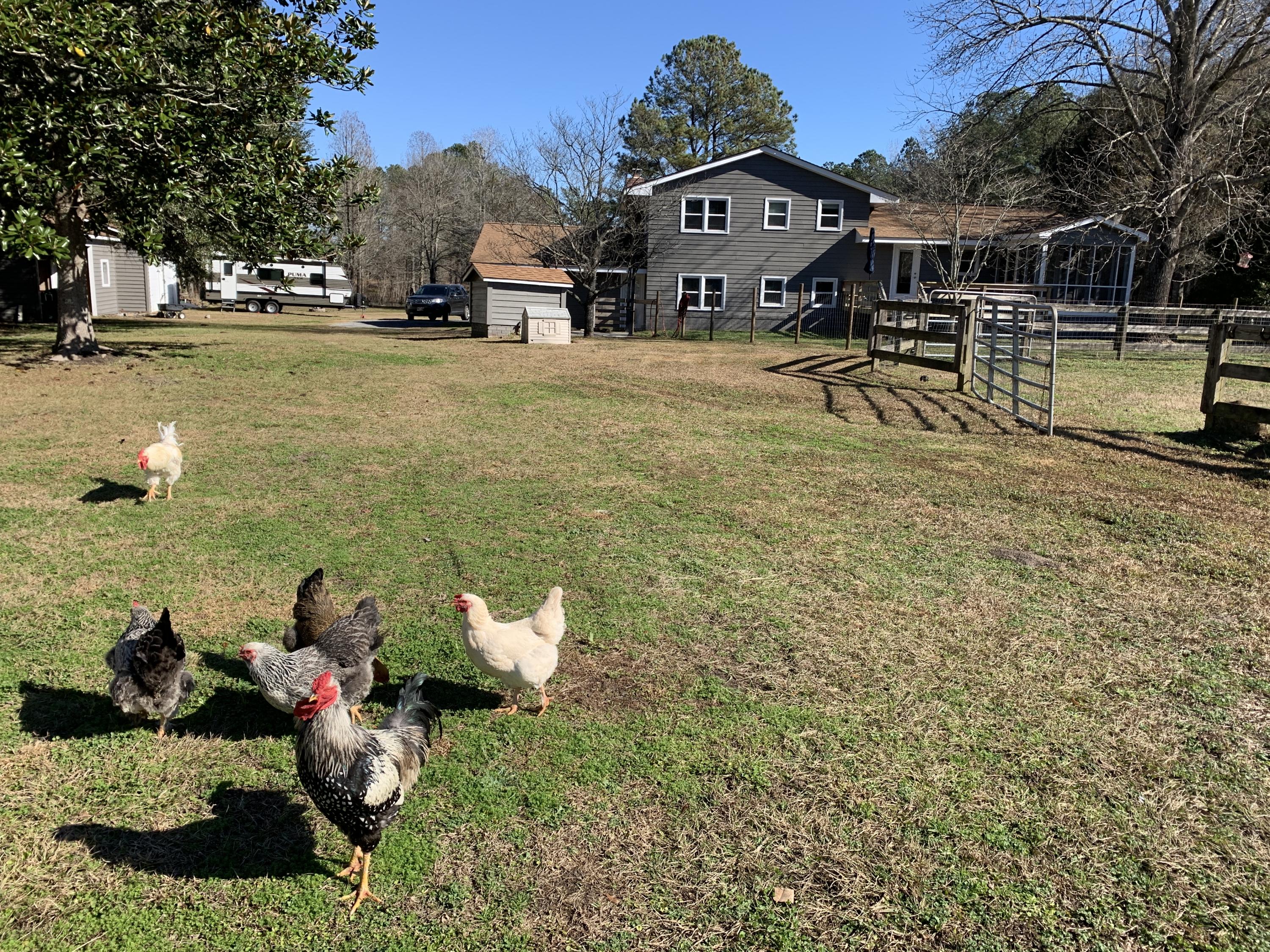 669 Calestown Road Bonneau, SC 29431 - Photo 34 of 38 File_038