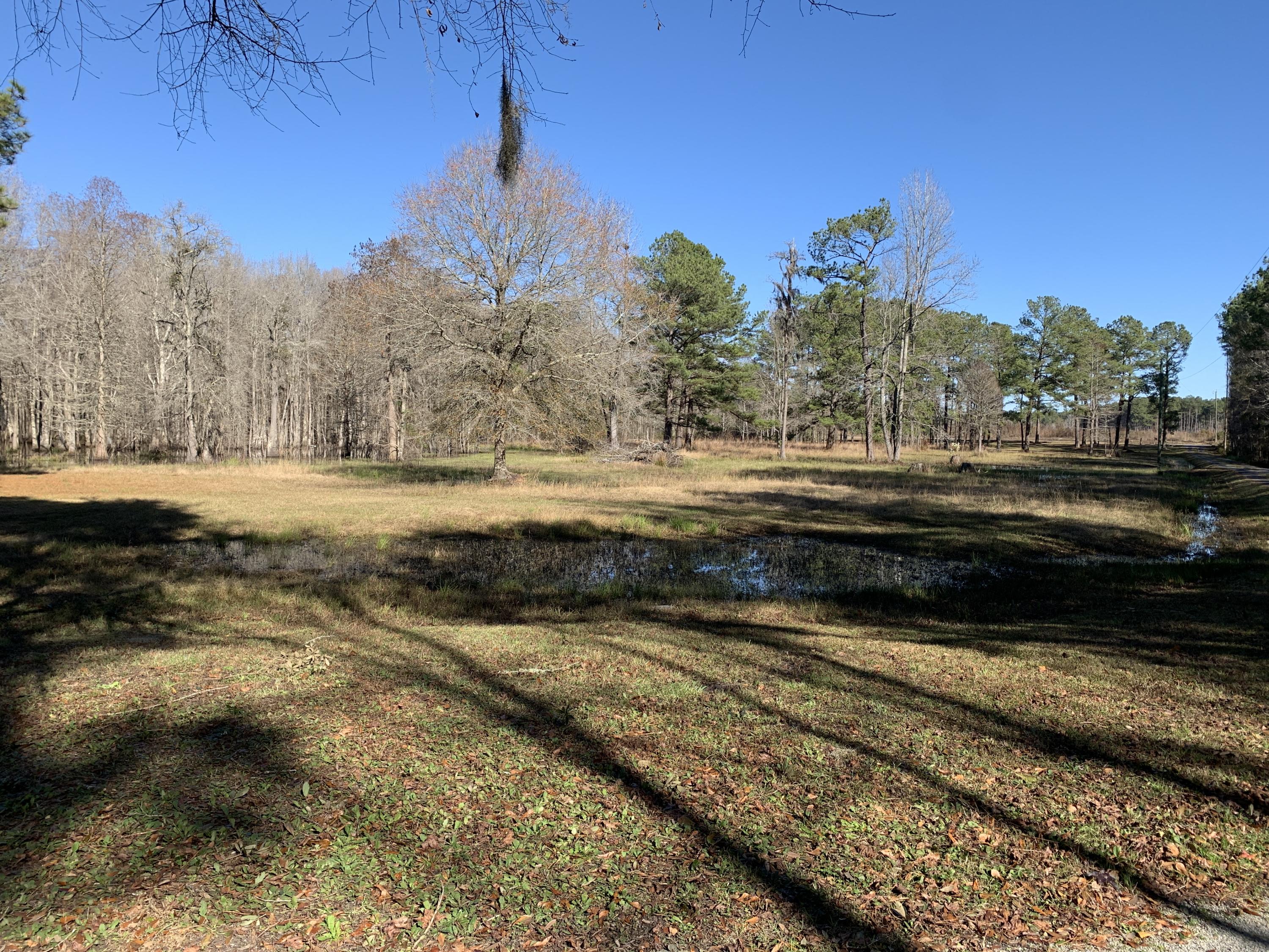 669 Calestown Road Bonneau, SC 29431 - Photo 36 of 38 File_043
