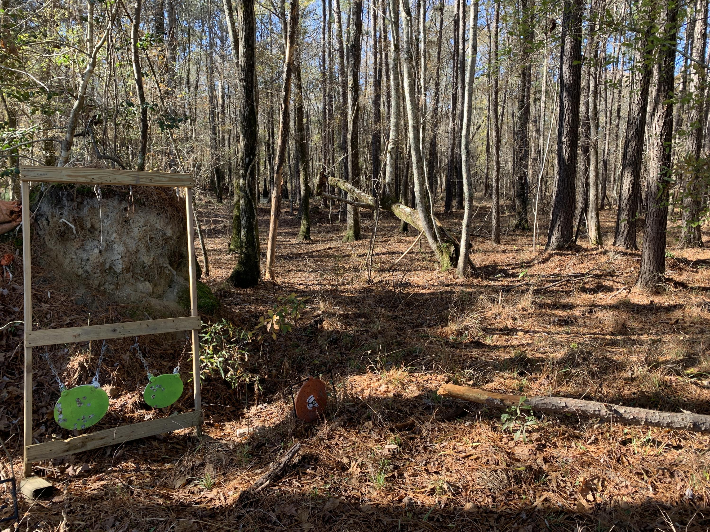 669 Calestown Road Bonneau, SC 29431 - Photo 37 of 38 File_048