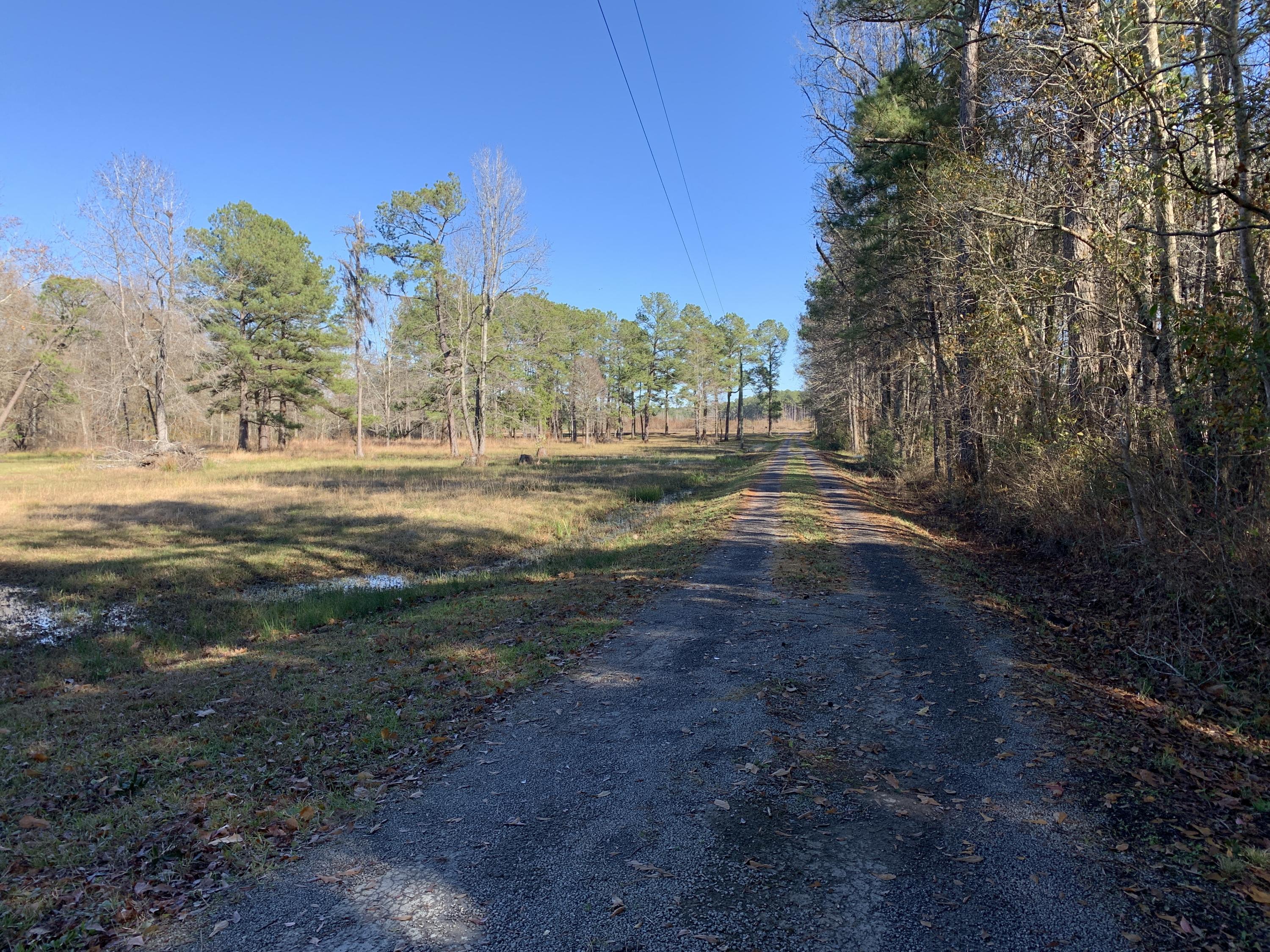 669 Calestown Road Bonneau, SC 29431 - Photo 38 of 38 File_044