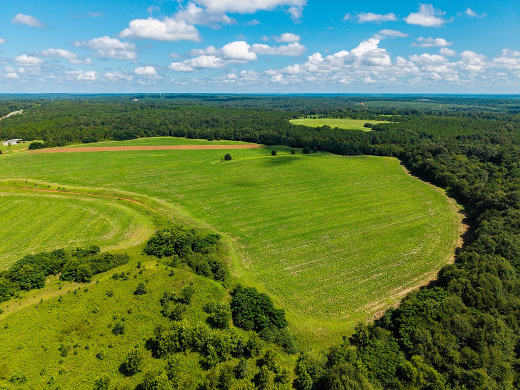 266-ac Loven Mill Road Richland, GA 31825 - Photo 11 of 35 a view of an ocean and a yard