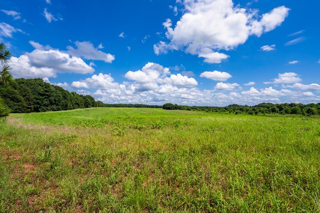 266-ac Loven Mill Road Richland, GA 31825 - Photo 14 of 35 a view of a lake and sunset