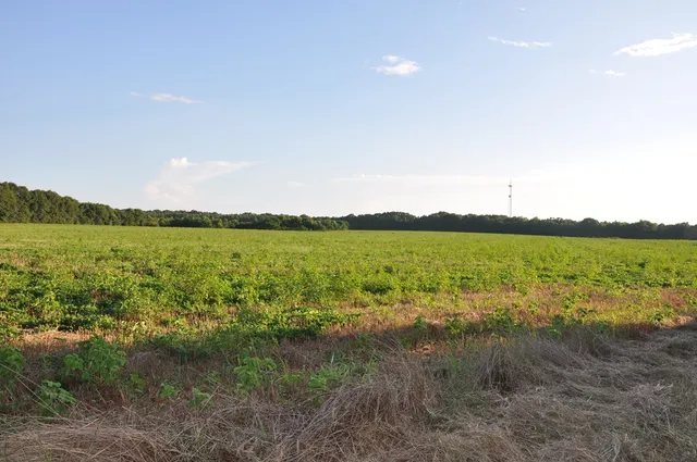 a view of an ocean and beach