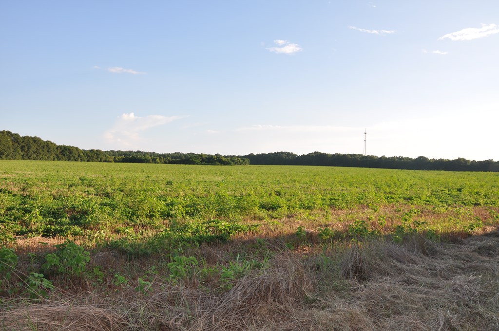 266-ac Loven Mill Road Richland, GA 31825 - Photo 15 of 35 a view of an ocean and beach