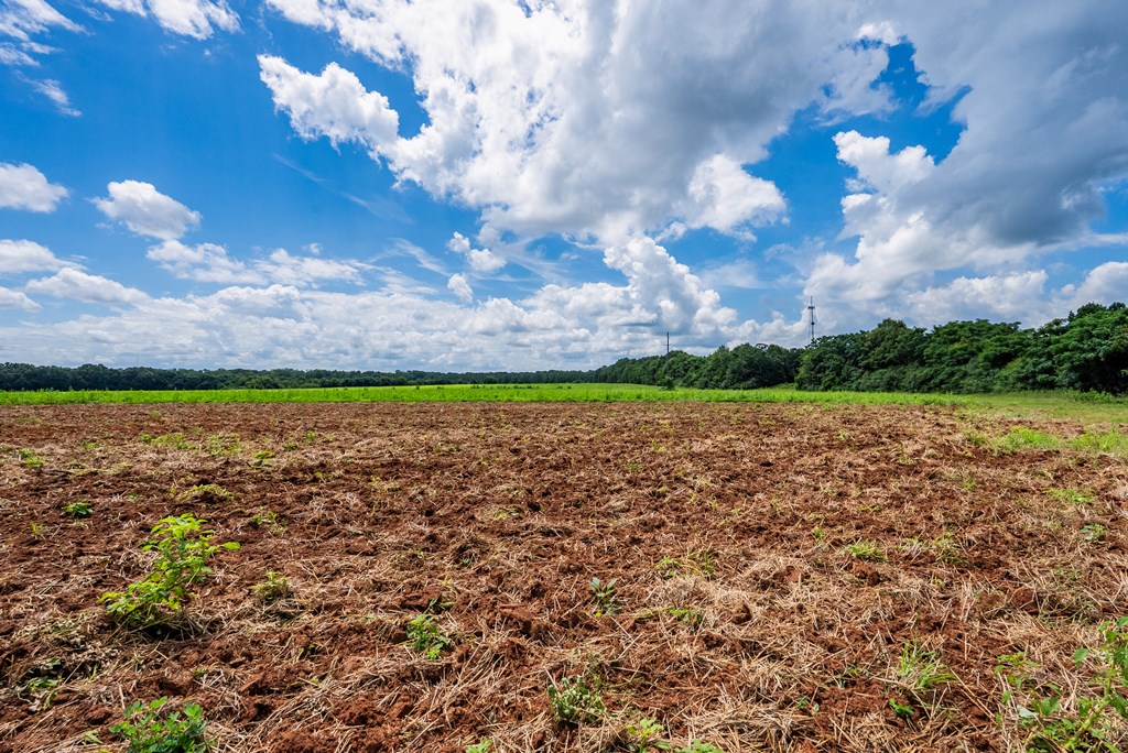 266-ac Loven Mill Road Richland, GA 31825 - Photo 17 of 35 a view of a lake