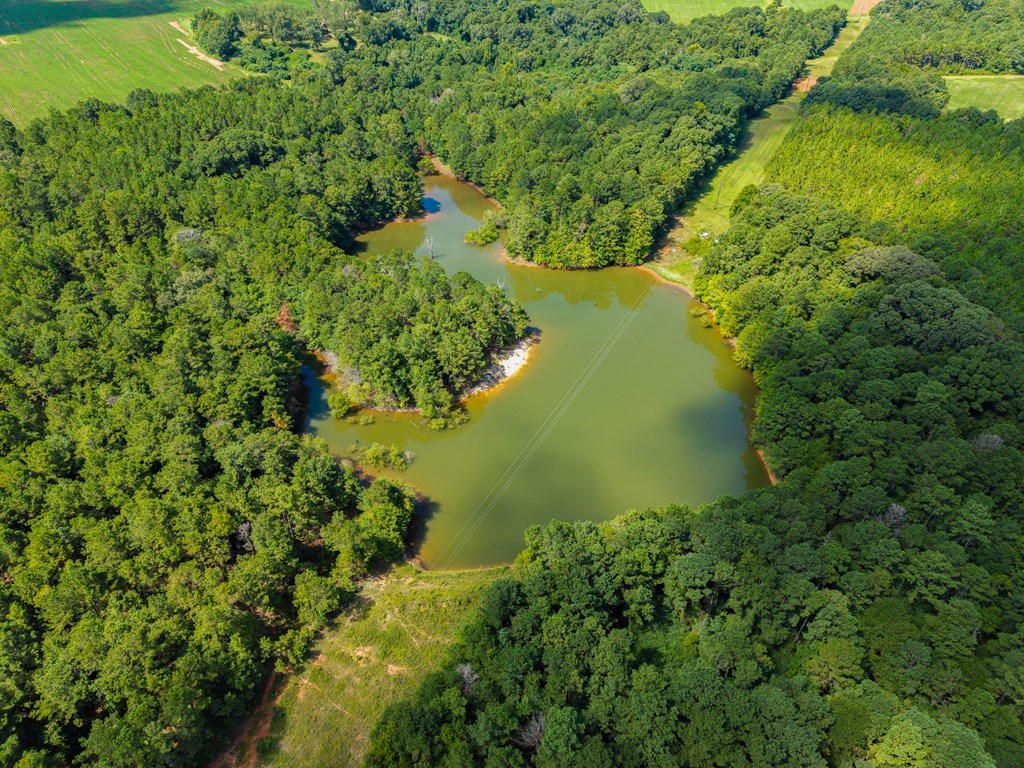 266-ac Loven Mill Road Richland, GA 31825 - Photo 18 of 35 a view of a lake with a yard