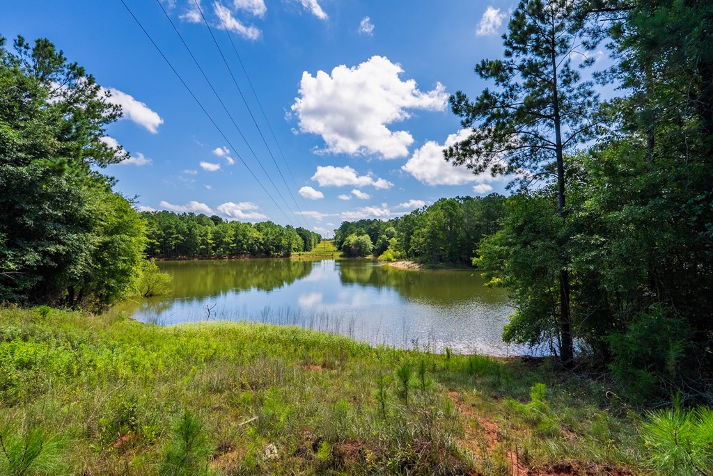 266-ac Loven Mill Road Richland, GA 31825 - Photo 19 of 35 a view of a lake from a yard