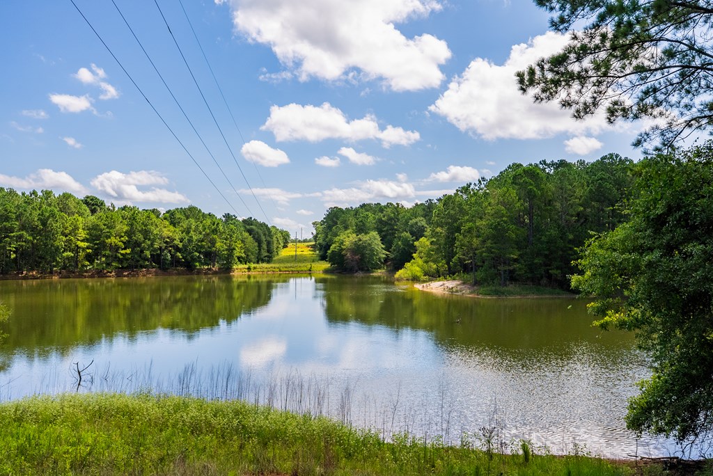 266-ac Loven Mill Road Richland, GA 31825 - Photo 20 of 35 a view of a lake with houses in the back