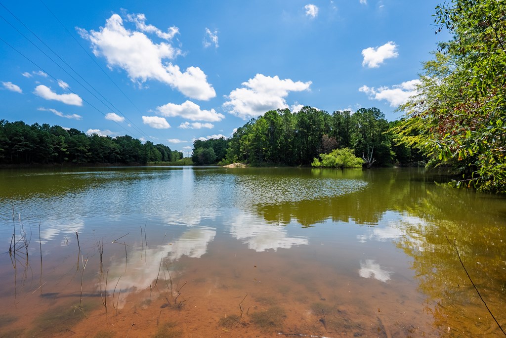 266-ac Loven Mill Road Richland, GA 31825 - Photo 21 of 35 a view of a lake in the middle of a lake view