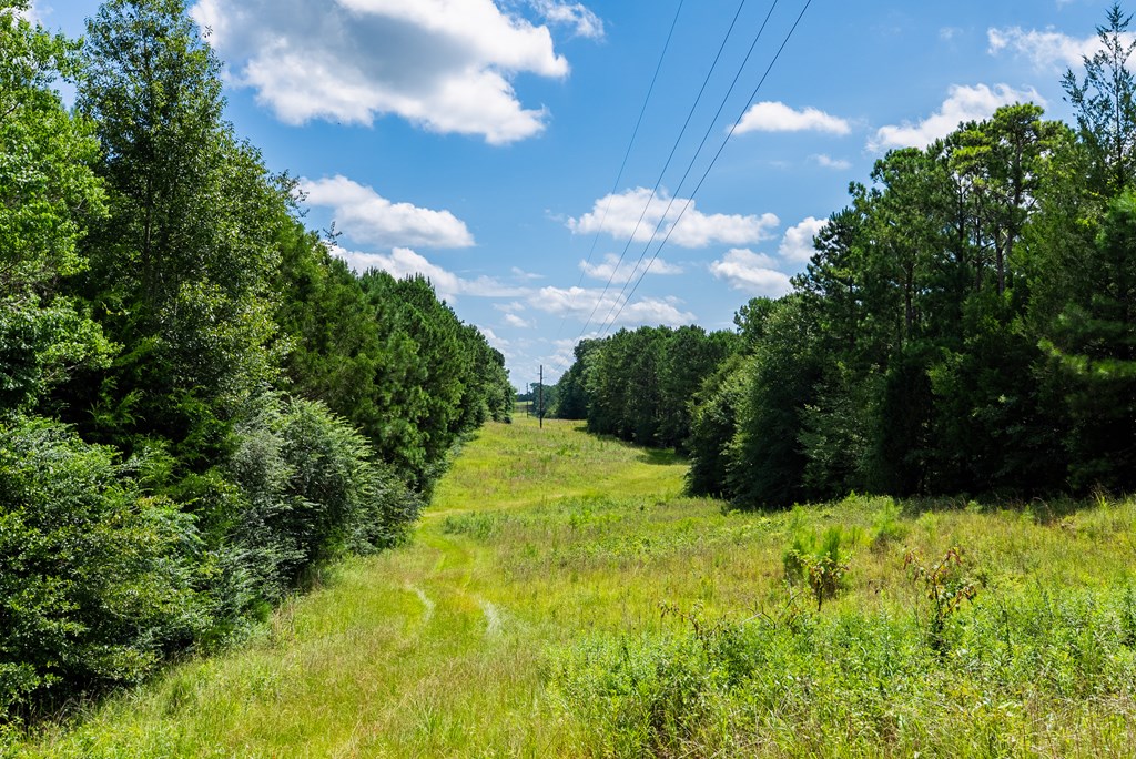 266-ac Loven Mill Road Richland, GA 31825 - Photo 26 of 35 a view of an outdoor space and a yard