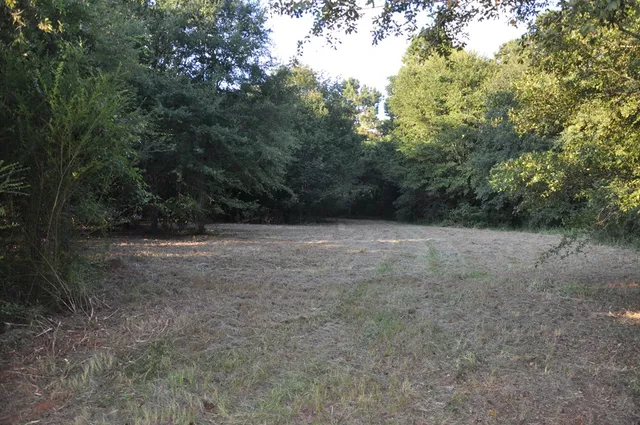 a view of outdoor space with trees