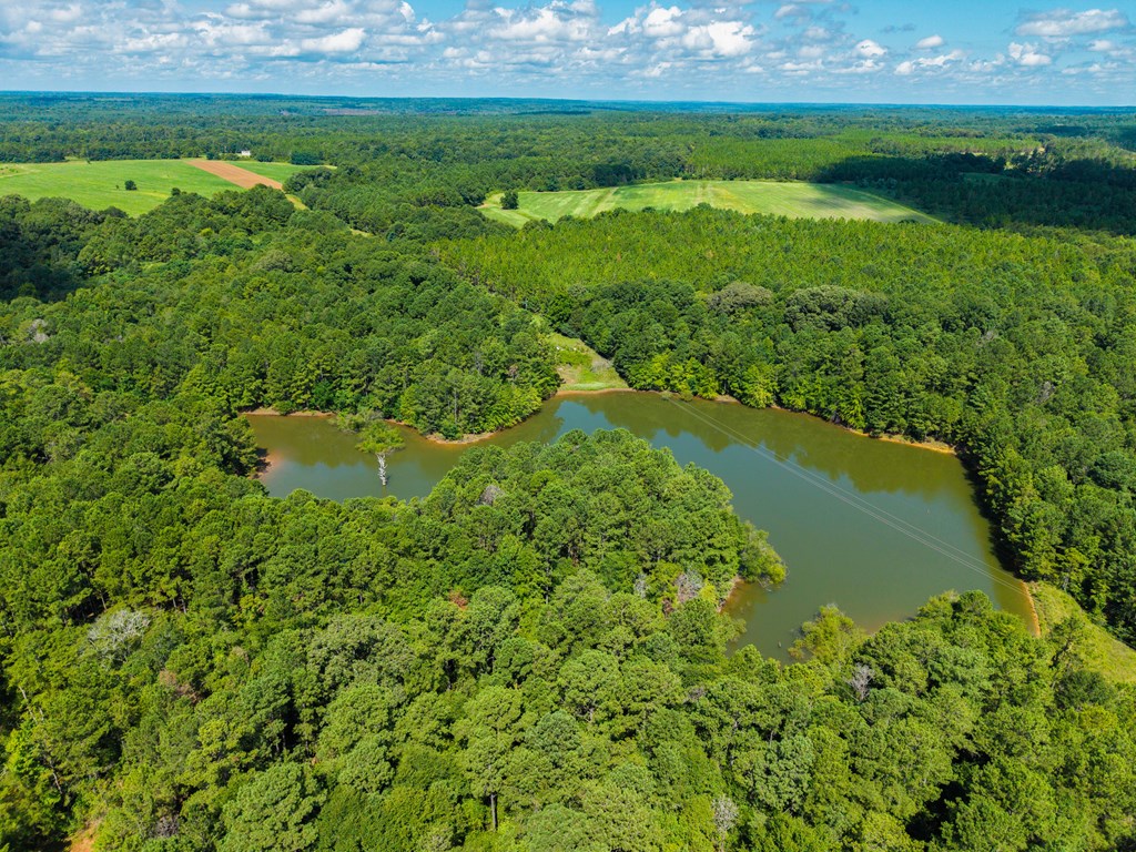 266-ac Loven Mill Road Richland, GA 31825 - Photo 3 of 35 a view of a garden with a lake