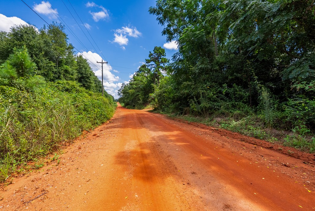 266-ac Loven Mill Road Richland, GA 31825 - Photo 31 of 35 a view of a yard with a house