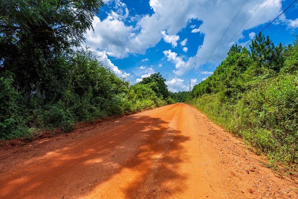 266-ac Loven Mill Road Richland, GA 31825 - Photo 32 of 35 a view of a garden