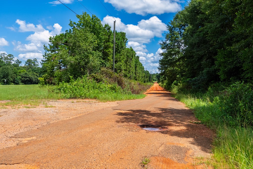 266-ac Loven Mill Road Richland, GA 31825 - Photo 34 of 35 a wooden bench with yard