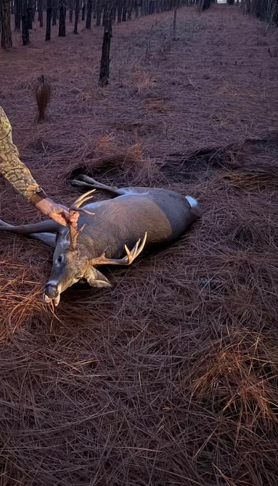 266-ac Loven Mill Road Richland, GA 31825 - Photo 35 of 35 a backyard of a house
