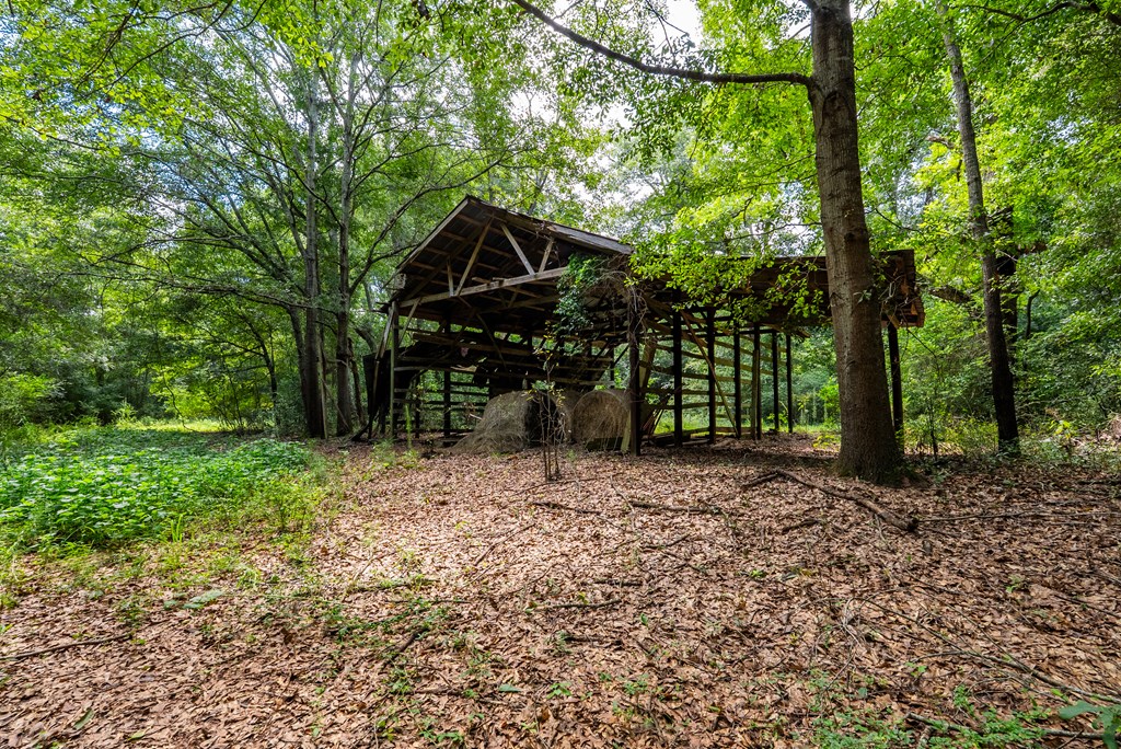 266-ac Loven Mill Road Richland, GA 31825 - Photo 5 of 35 a front view of a house with garden