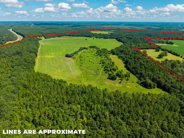 a view of a golf course of a lake