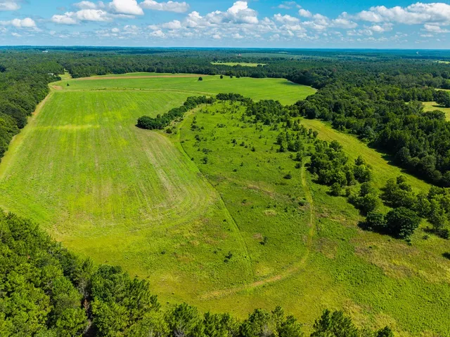a view of a yard with an outdoor space