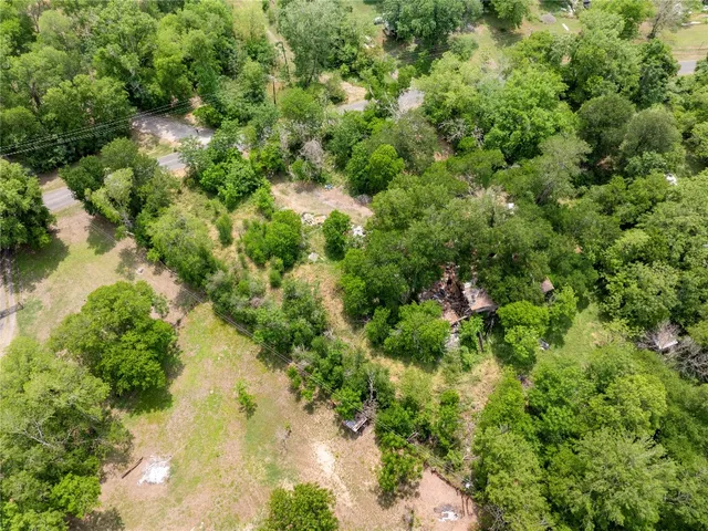 a view of a garden with a plants