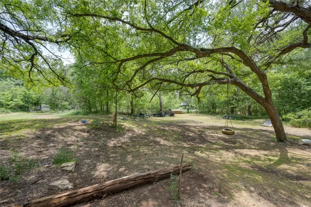 a view of a yard with large trees