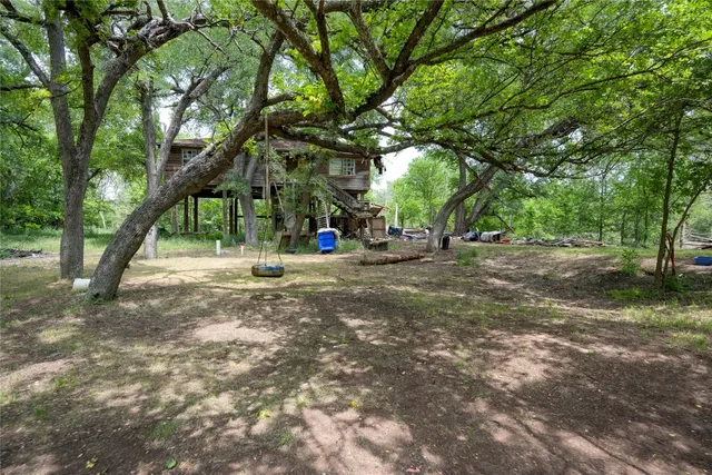 a view of road with large trees